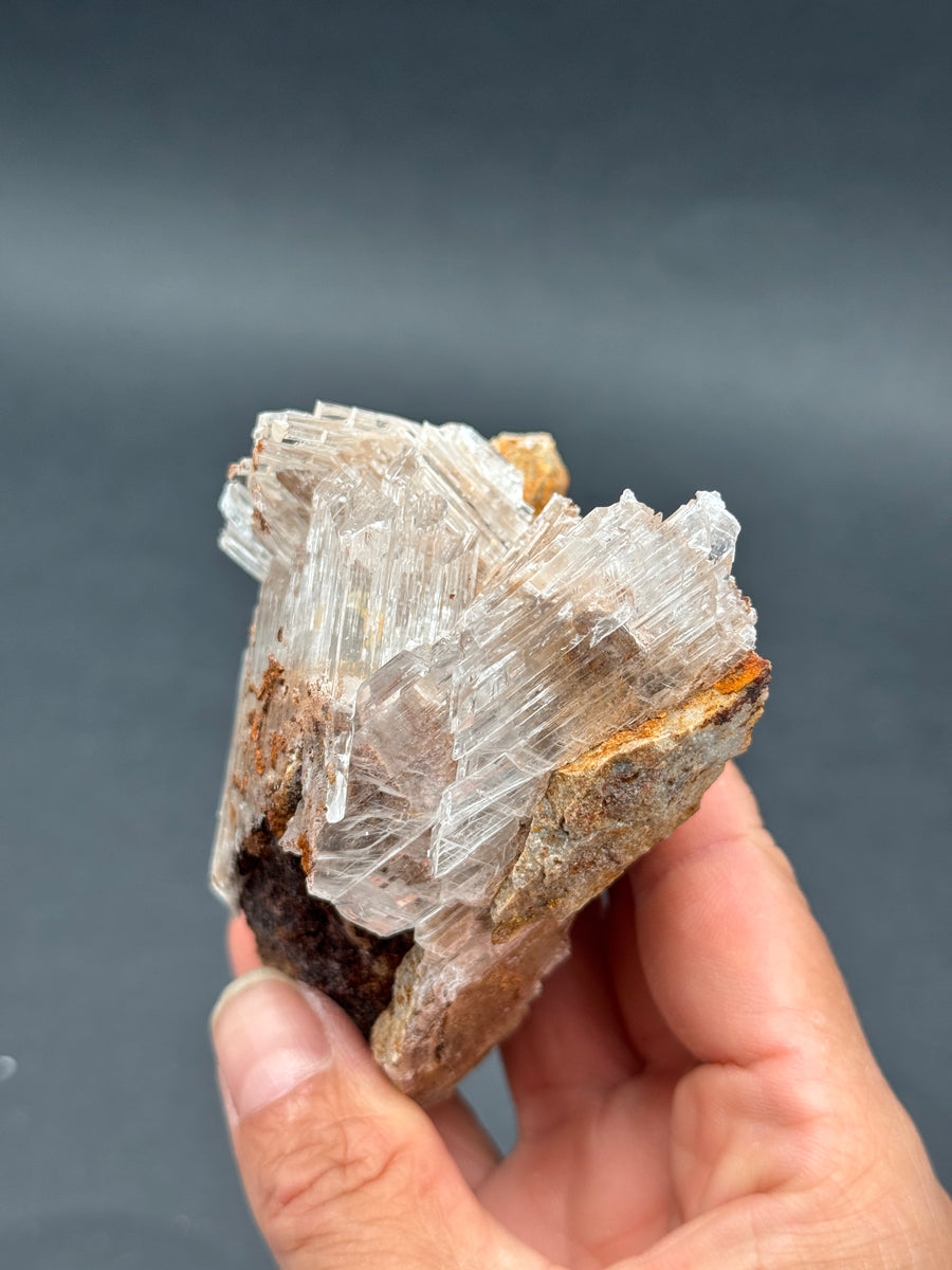 Selenite from Buena Tierra Mine, Mexico