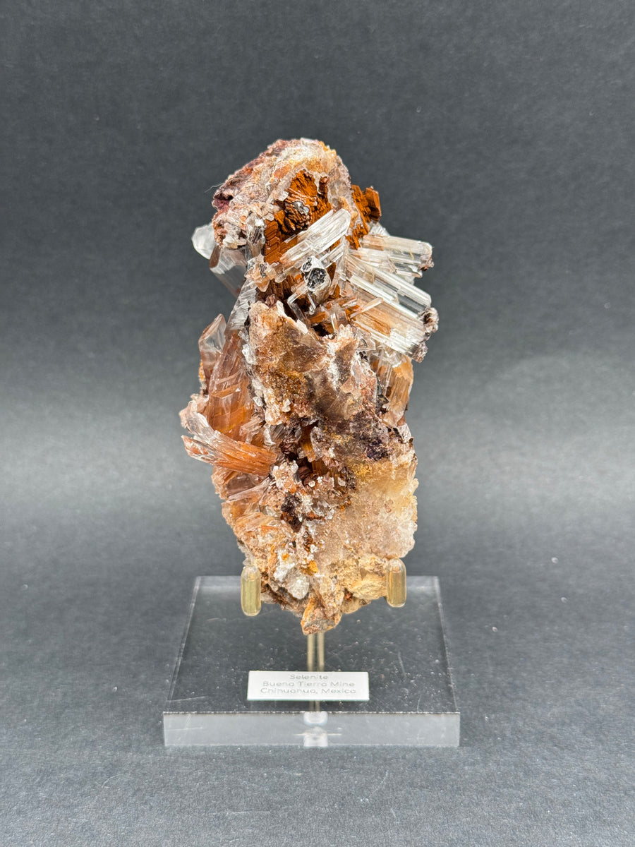 Selenite from Buena Tierra Mine, Mexico