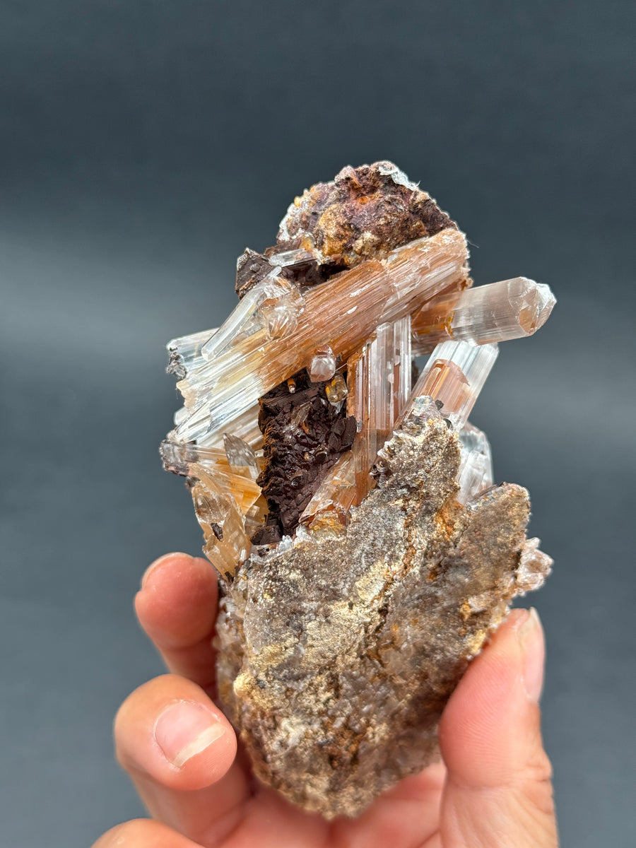 Selenite from Buena Tierra Mine, Mexico