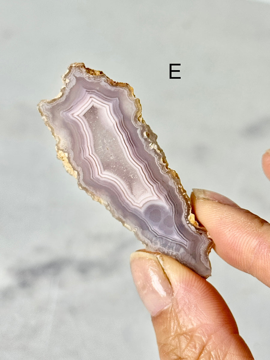 Laguna Agate Slice from Chihuahua Mexico
