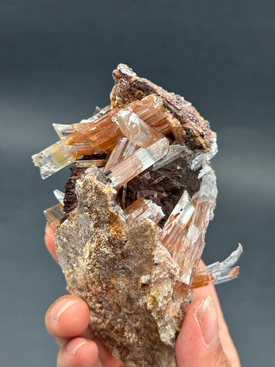 Selenite from Buena Tierra Mine, Mexico