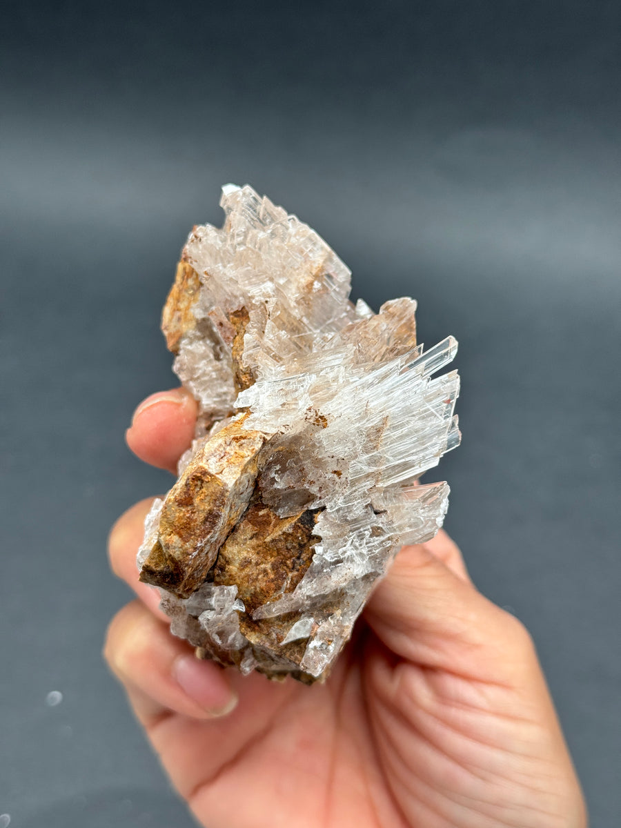 Selenite from Buena Tierra Mine, Mexico