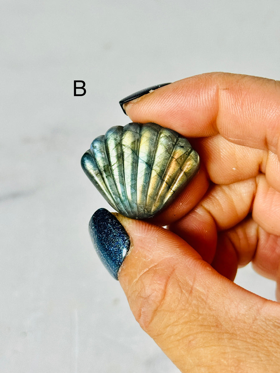 Labradorite Shell Carving
