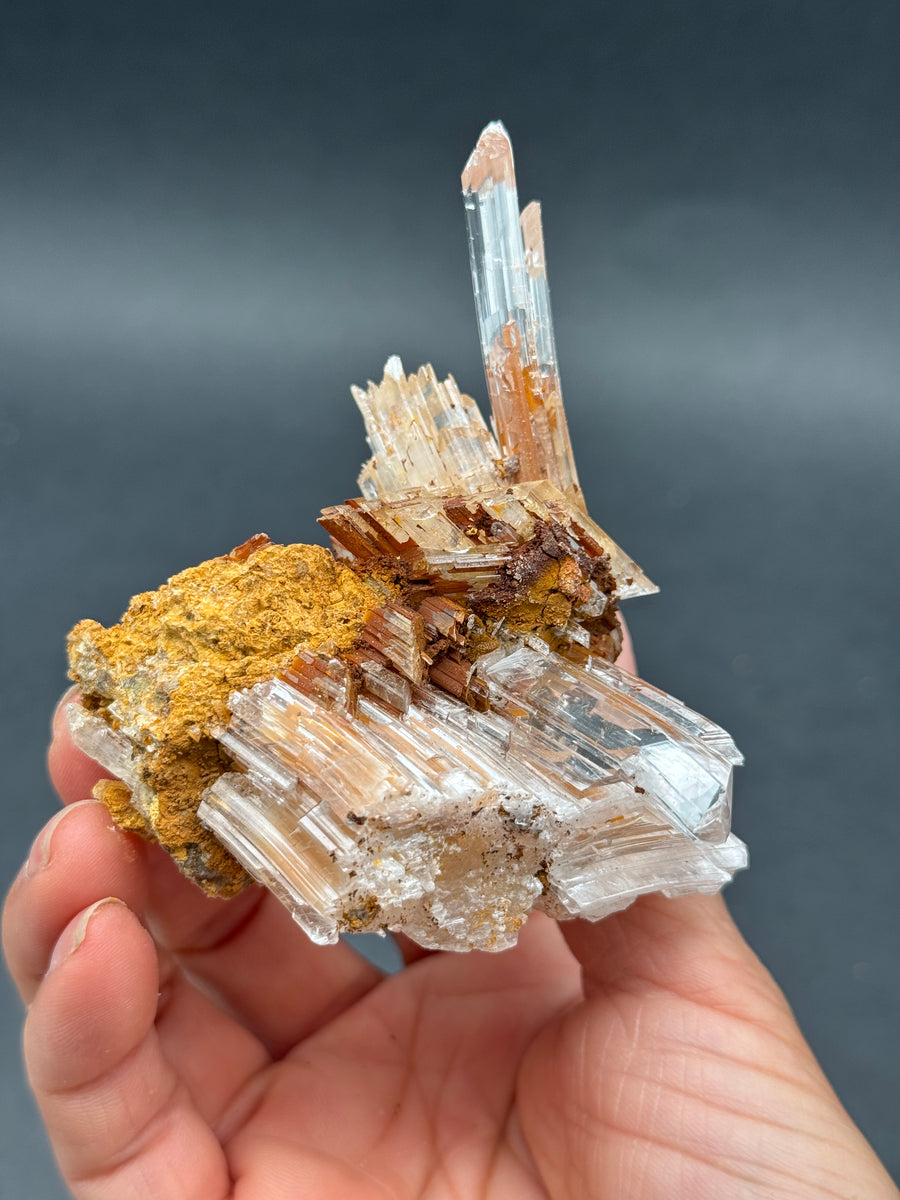 Selenite from Buena Tierra Mine, Mexico