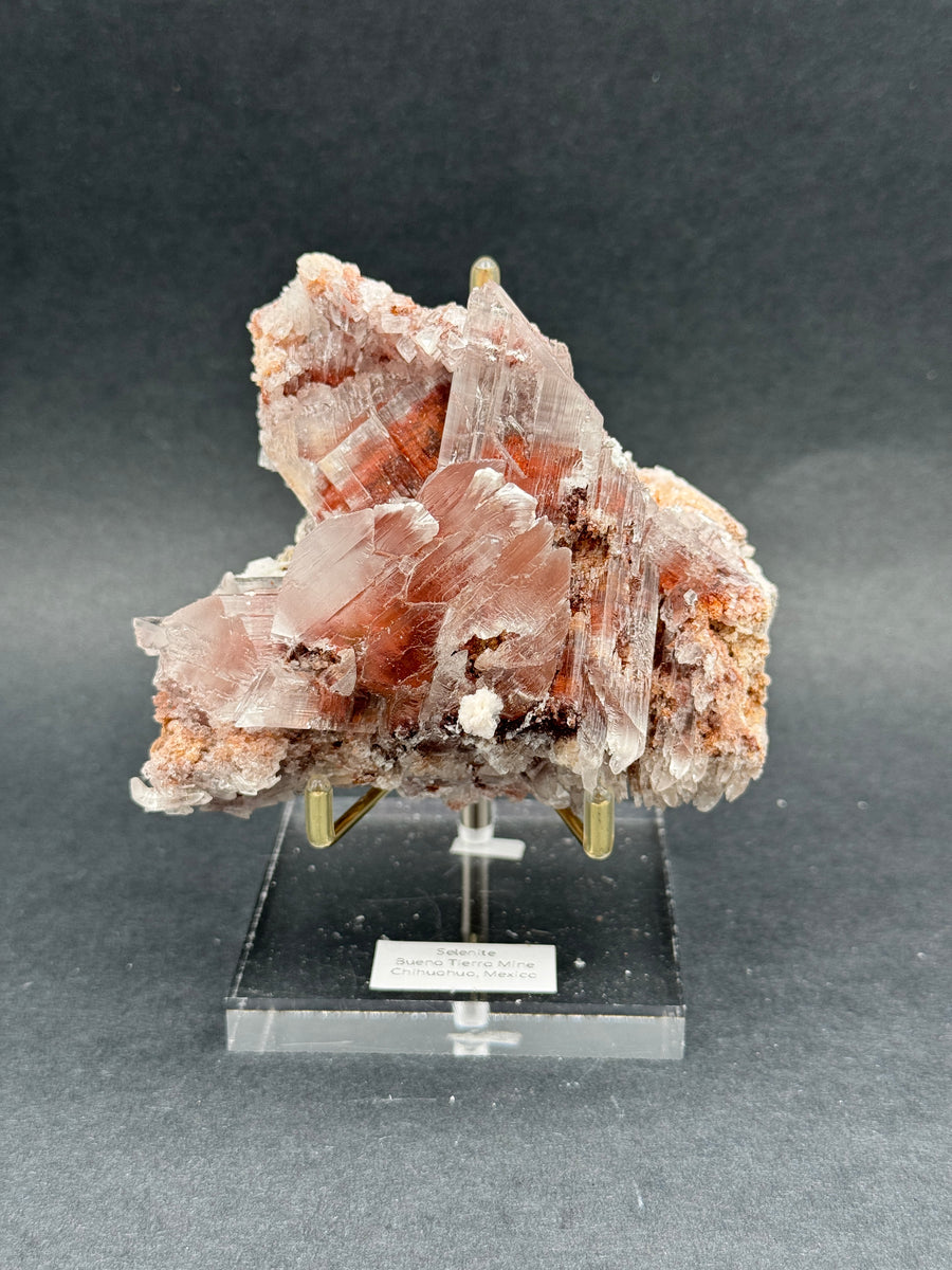 Selenite from Buena Tierra Mine, Mexico
