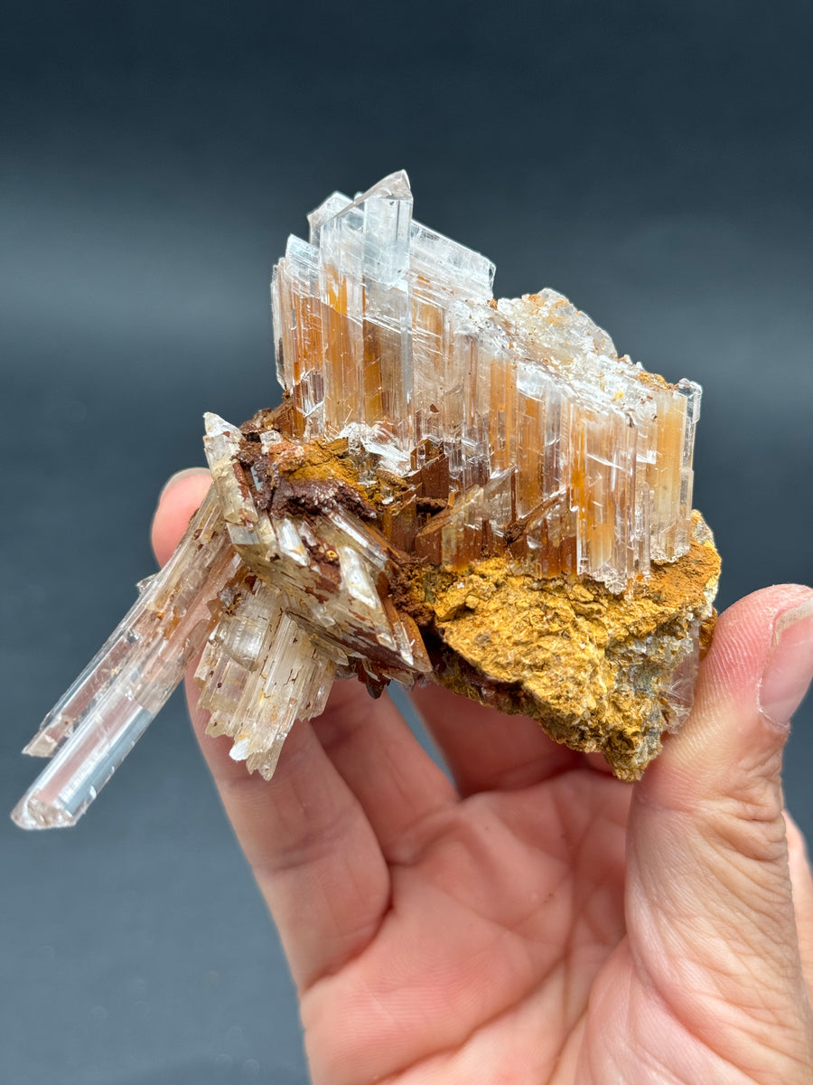 Selenite from Buena Tierra Mine, Mexico