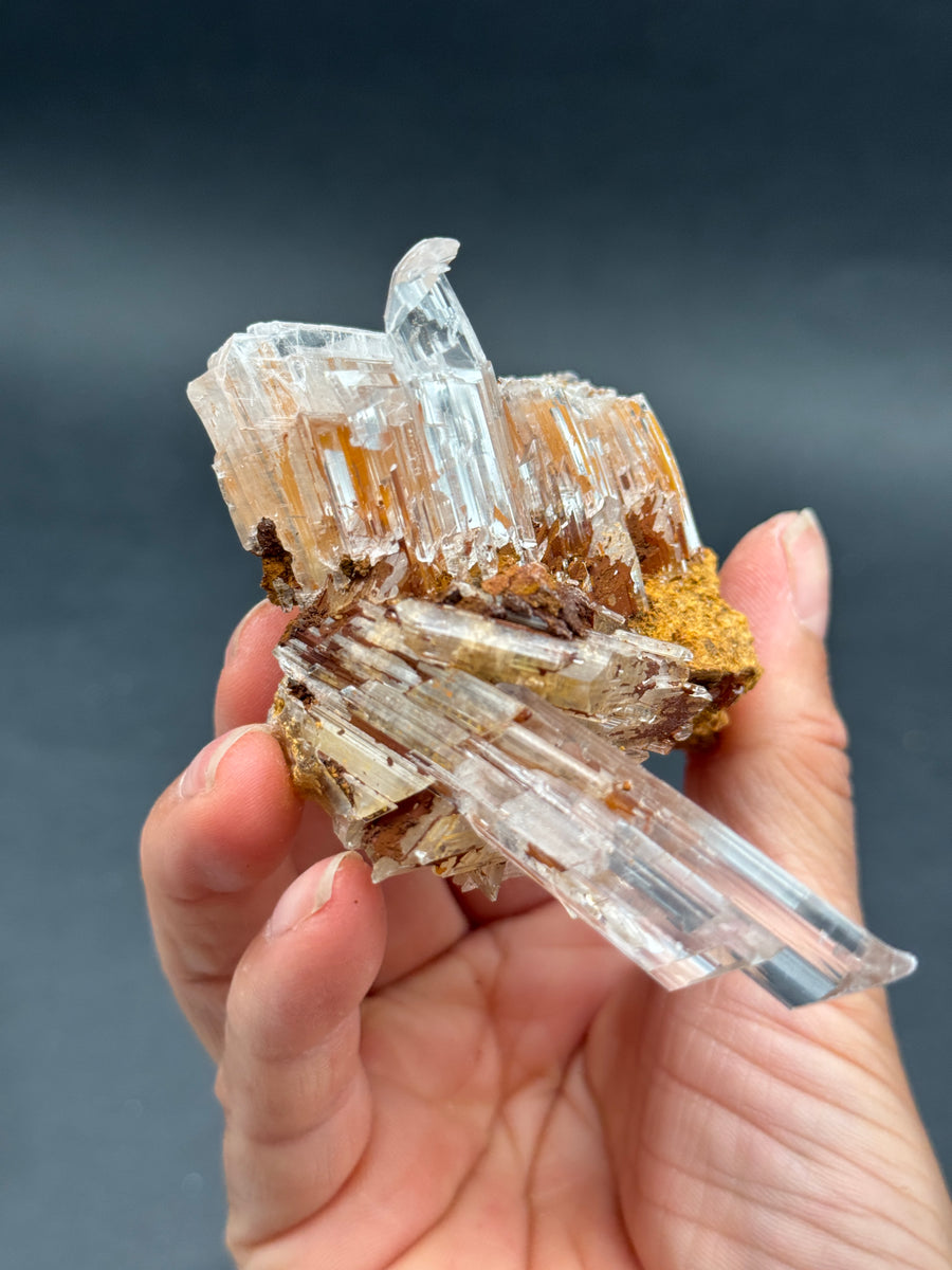 Selenite from Buena Tierra Mine, Mexico