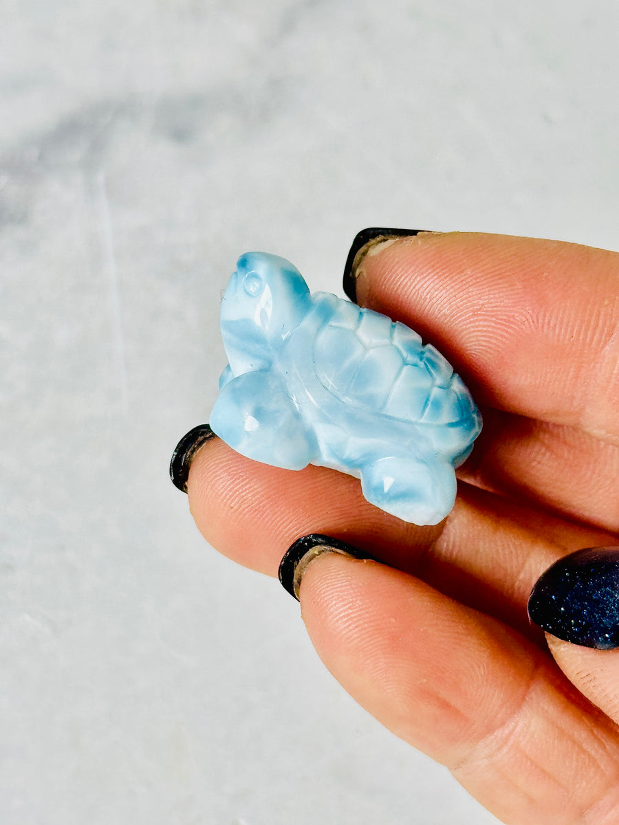 High Quality Larimar Turtle Carving