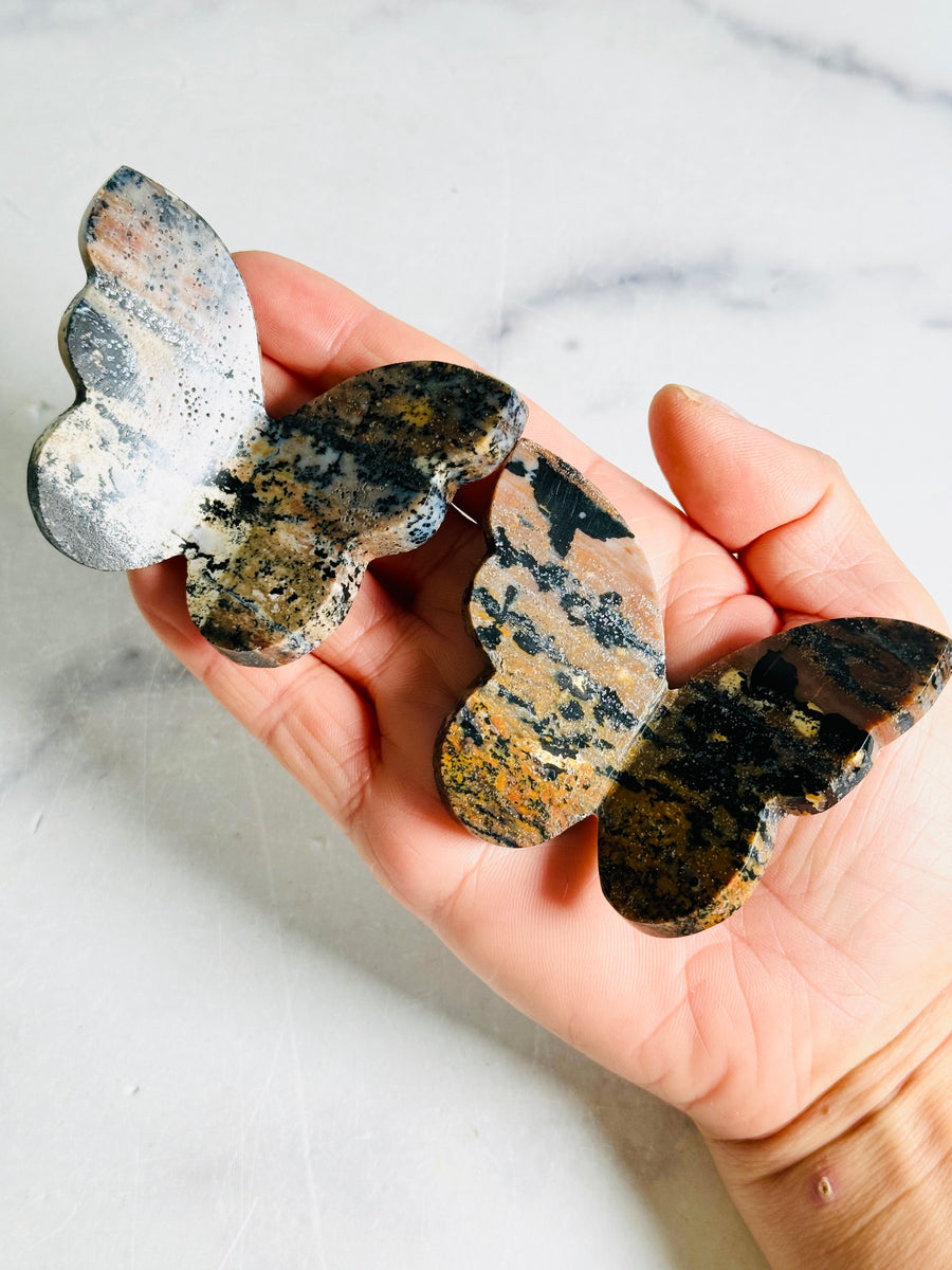 Dendritic Agate 3D Butterfly Carving