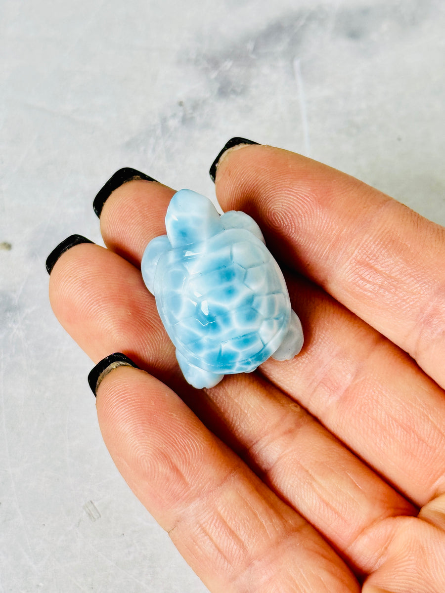 High Quality Larimar Turtle Carving