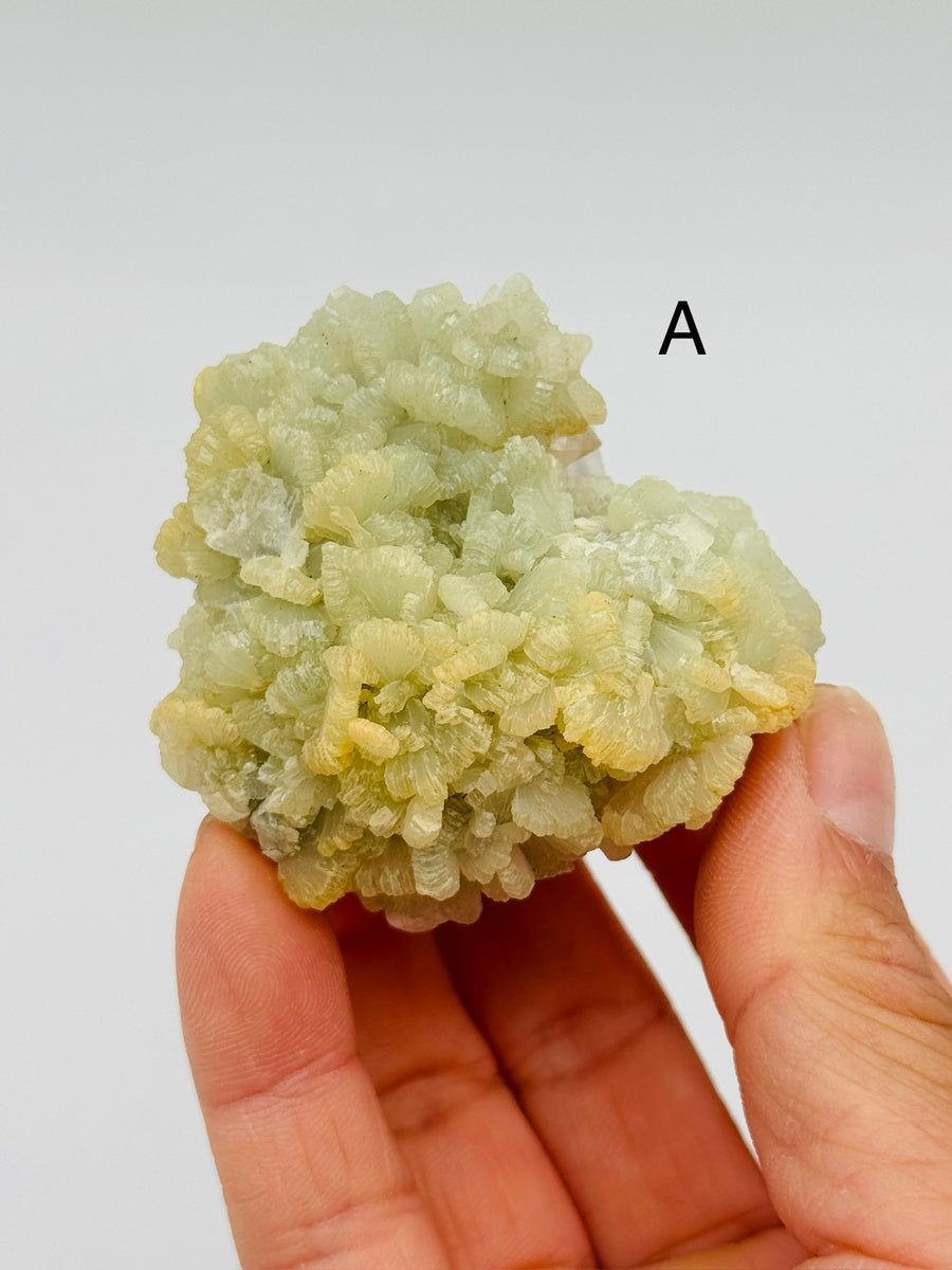 Prehnite from Morocco