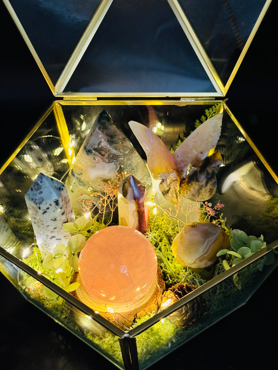 The Cottage Core Terrarium