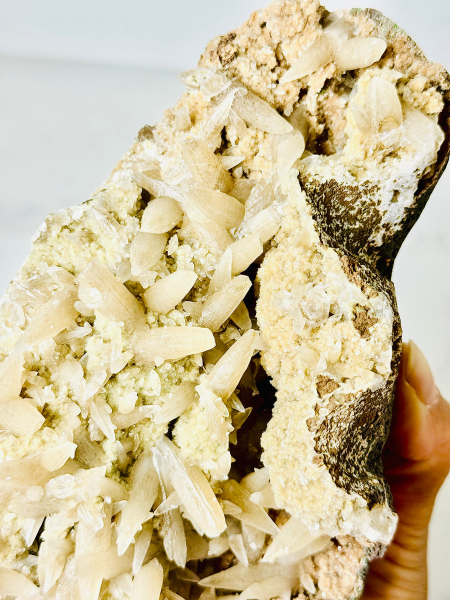 Dogtooth Calcite