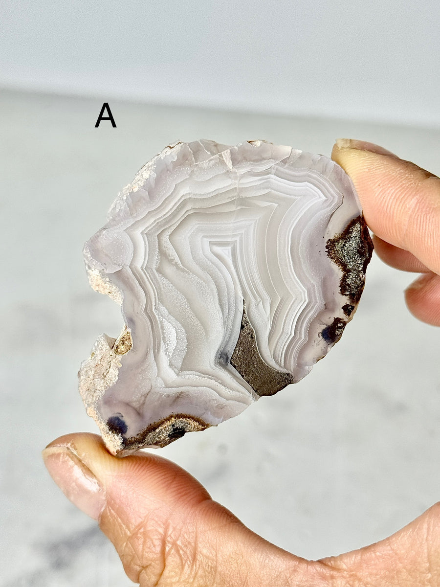 Laguna Agate Slice from Chihuahua Mexico