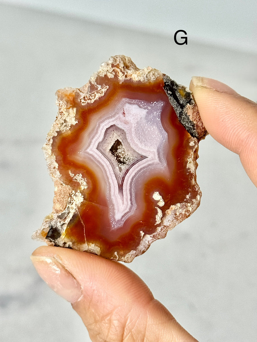 Laguna Agate Slice from Chihuahua Mexico