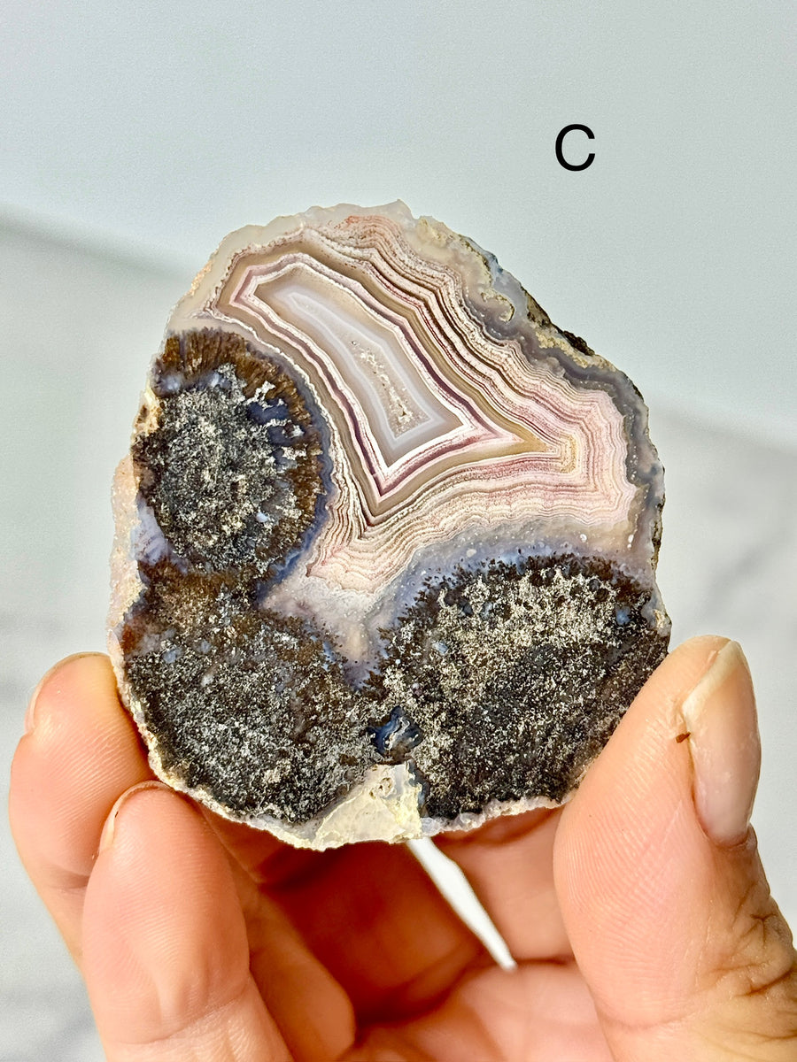 Laguna Agate Slice from Chihuahua Mexico
