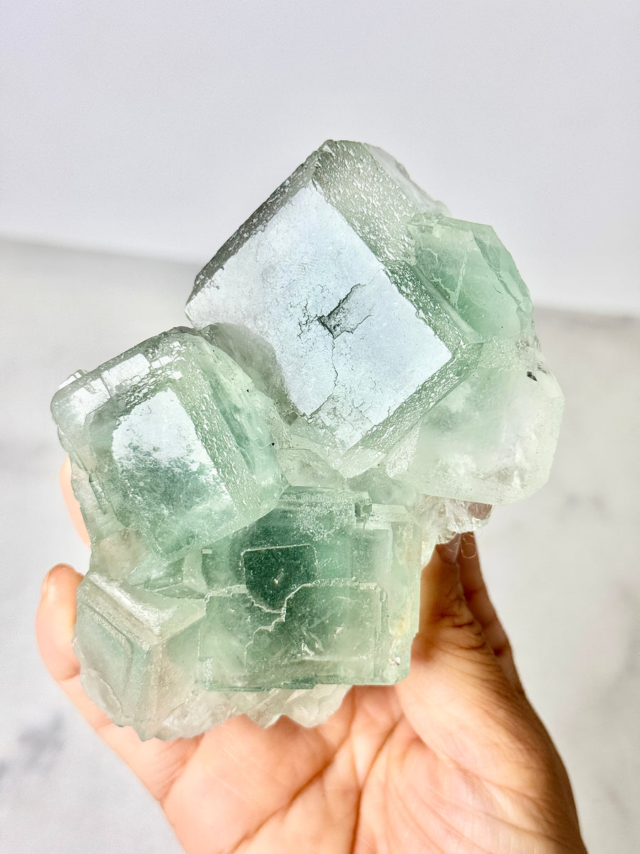 Green Porcelain Fluorite