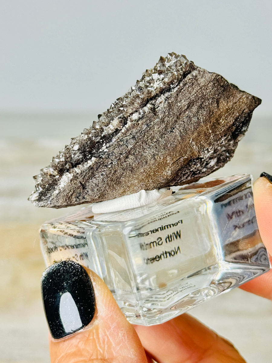 Permineralized Wood with Smoky Quartz from Arizona