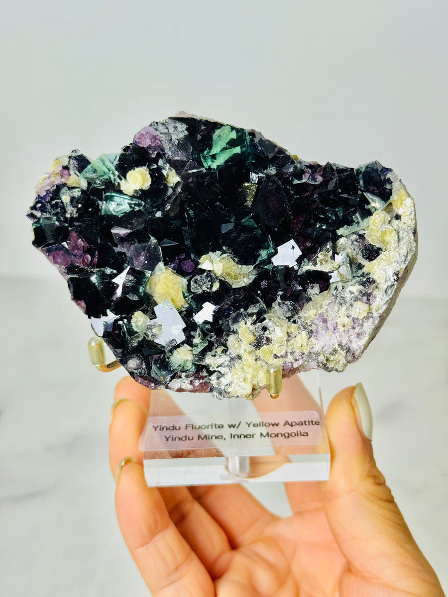 Yindu Fluorite with Yellow Apatite from Yindu Mine, Inner Mongolia