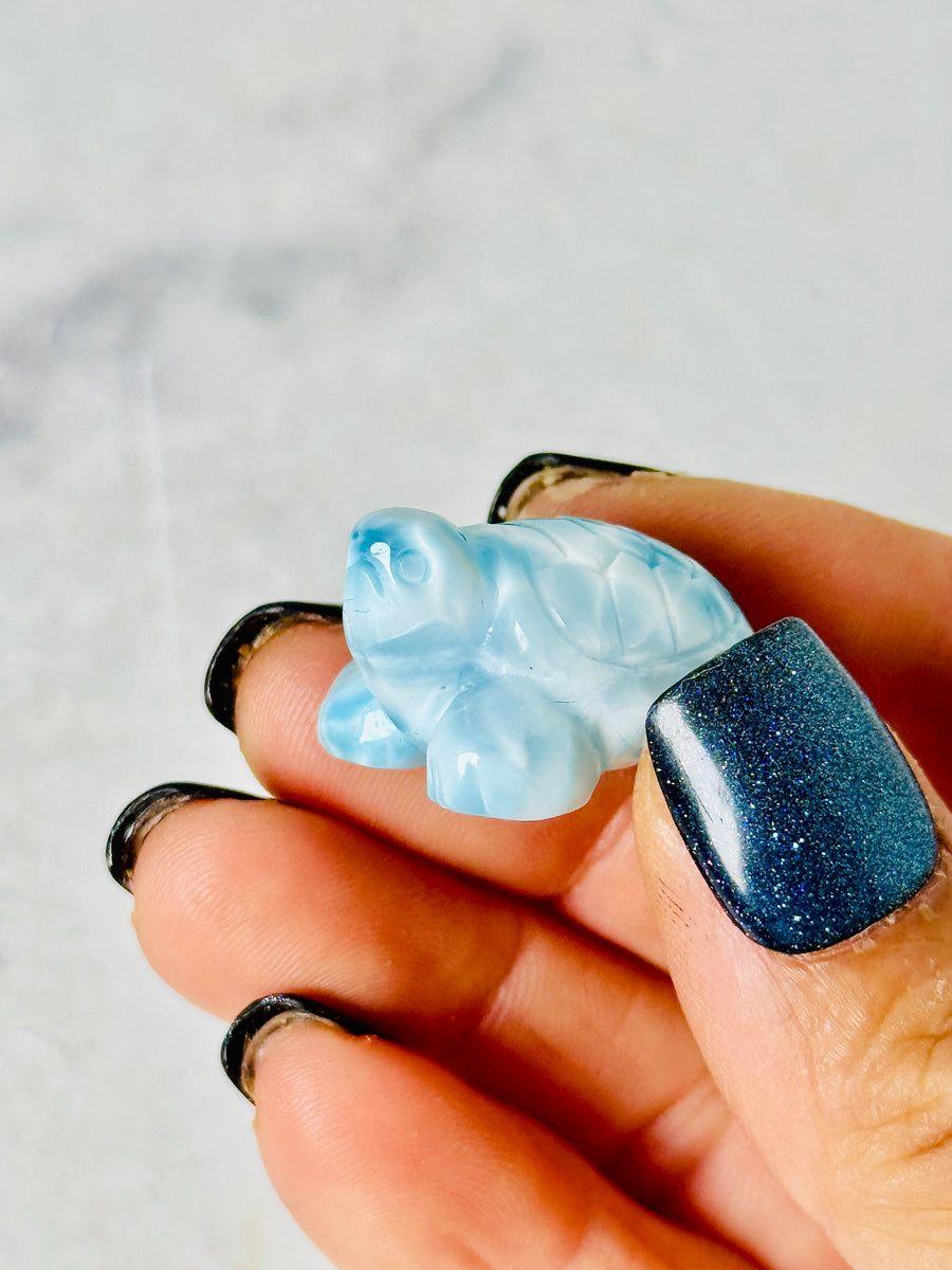 High Quality Larimar Turtle Carving