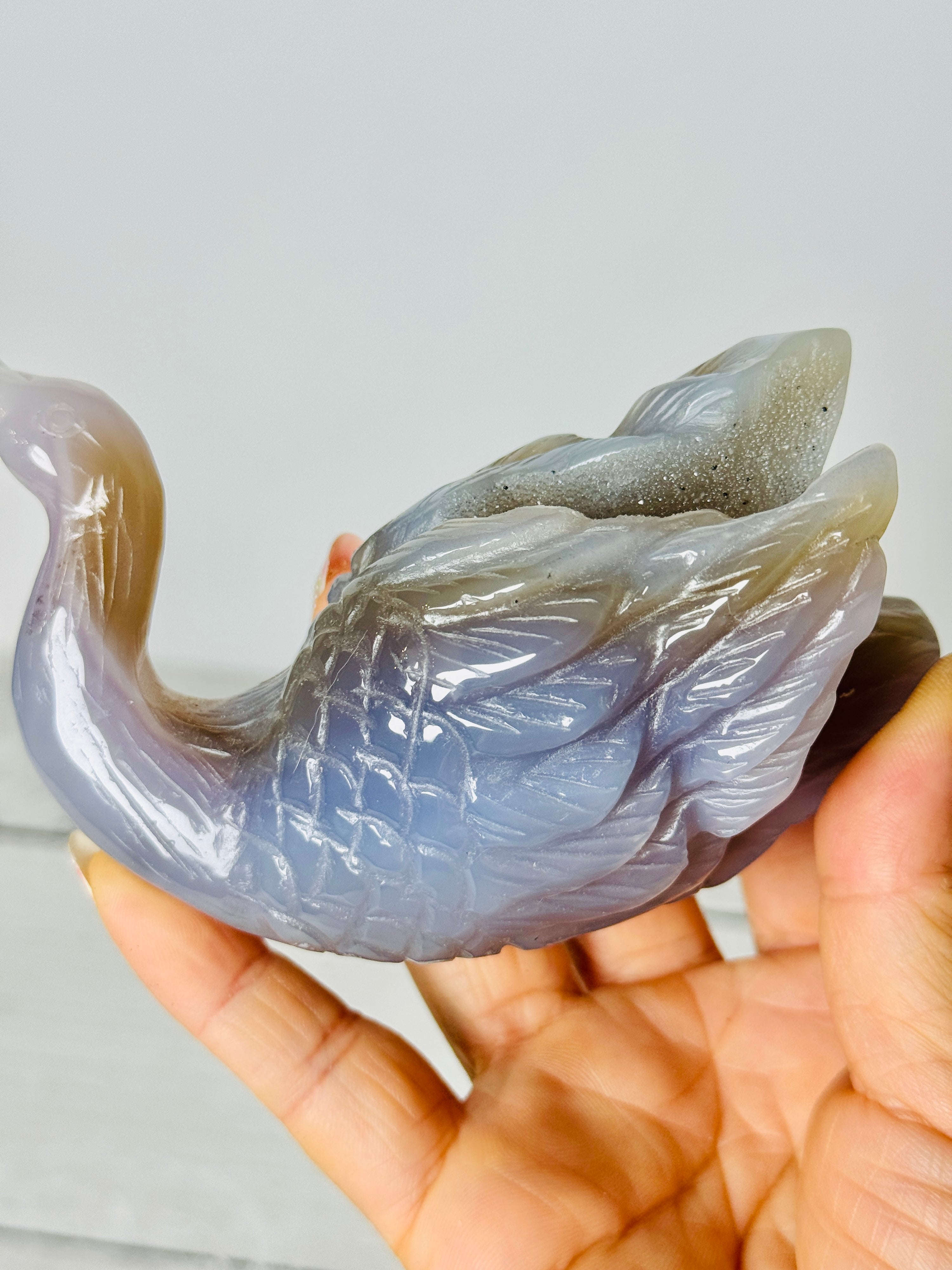 Zoom