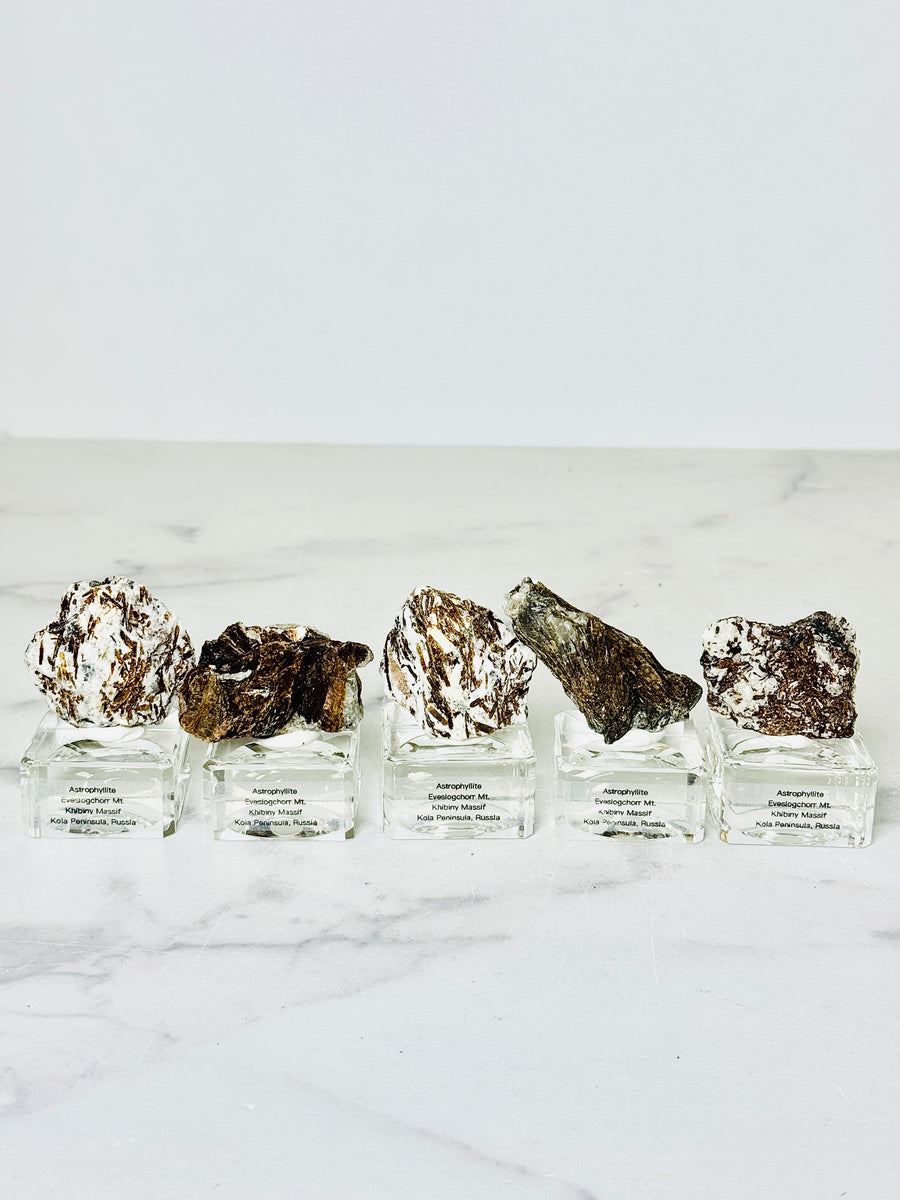 Astrophyllite from Eveslogchorr Mt., Russia