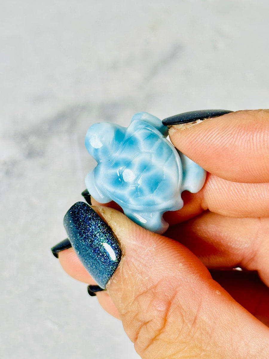 High Quality Larimar Turtle Carving