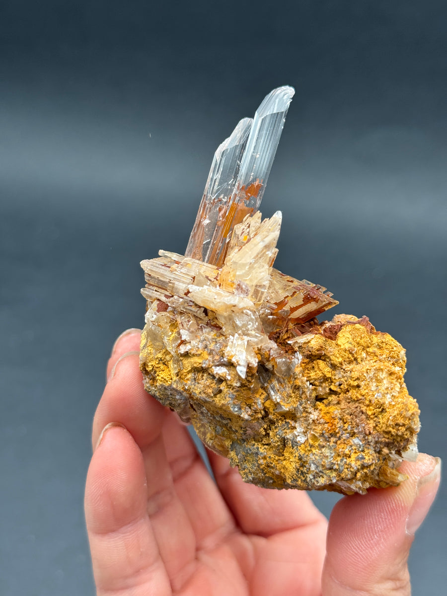 Selenite from Buena Tierra Mine, Mexico