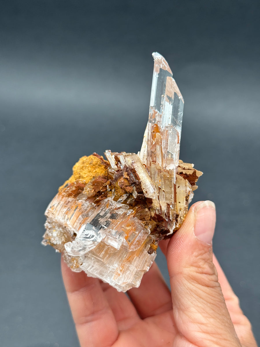 Selenite from Buena Tierra Mine, Mexico