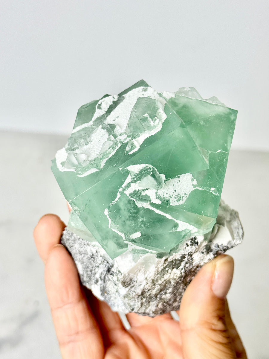 Green Porcelain Fluorite