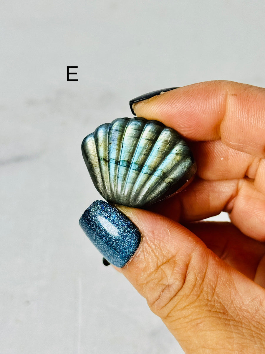 Labradorite Shell Carving