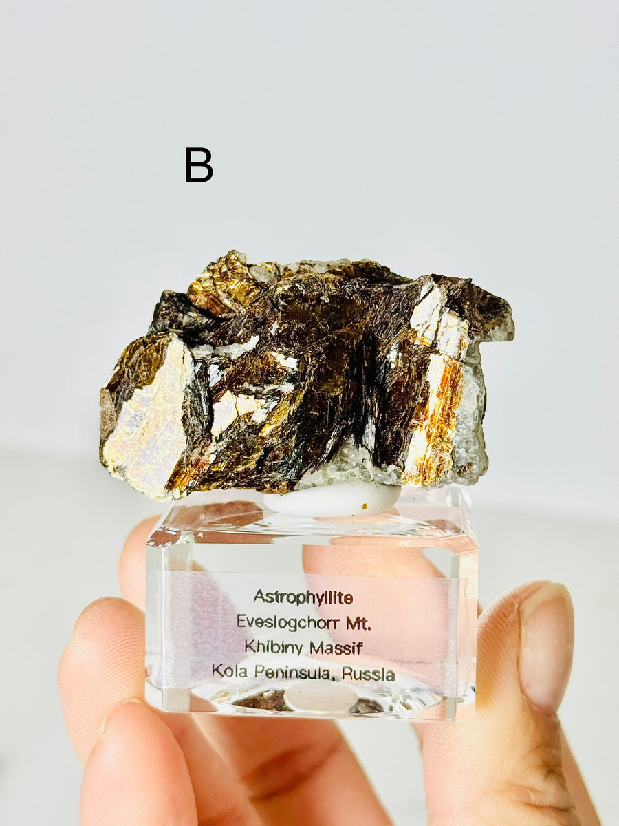 Astrophyllite from Eveslogchorr Mt., Russia