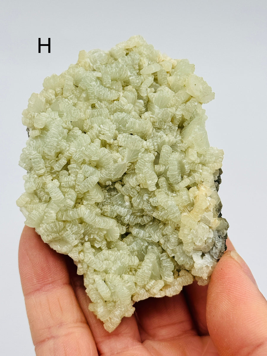 Prehnite from Morocco