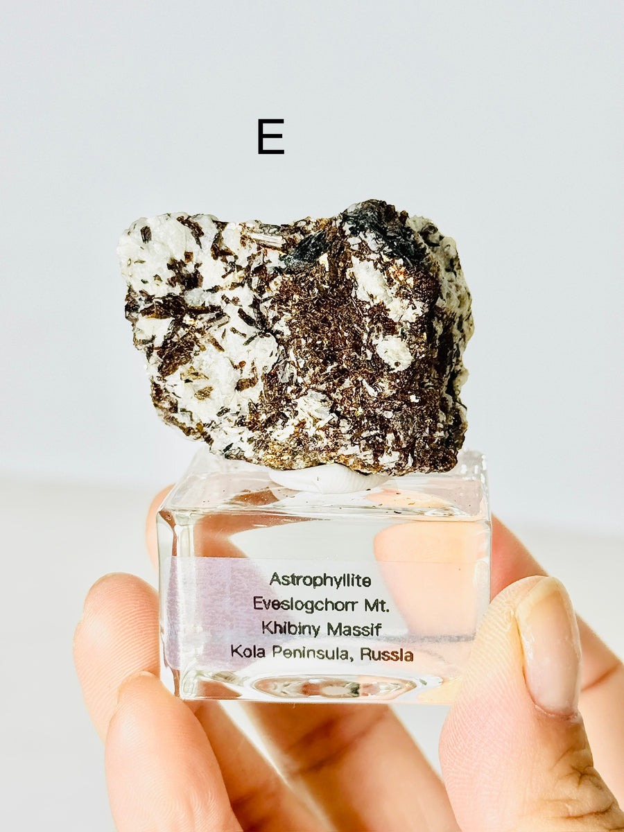 Astrophyllite from Eveslogchorr Mt., Russia