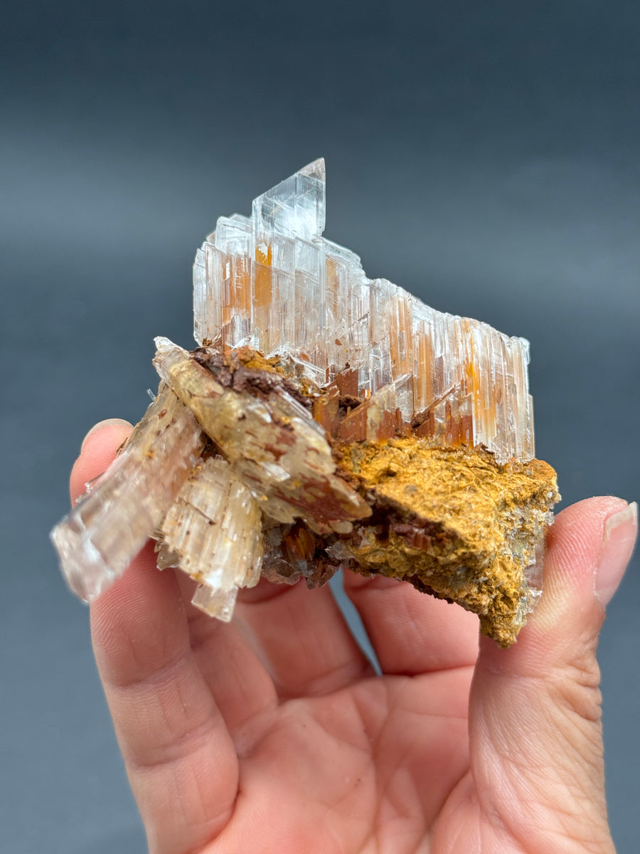 Selenite from Buena Tierra Mine, Mexico