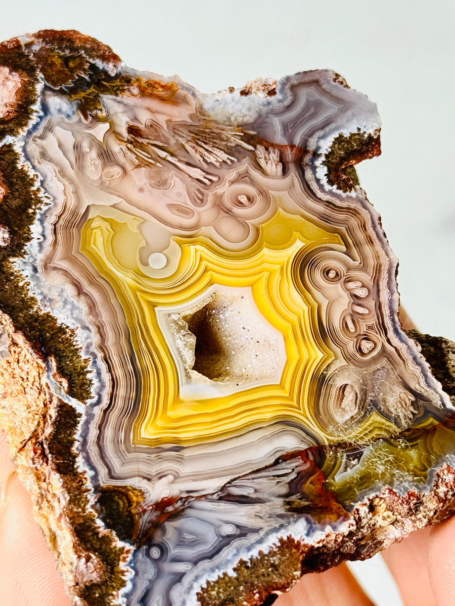 Laguna Agate from Chihuahua Mexico