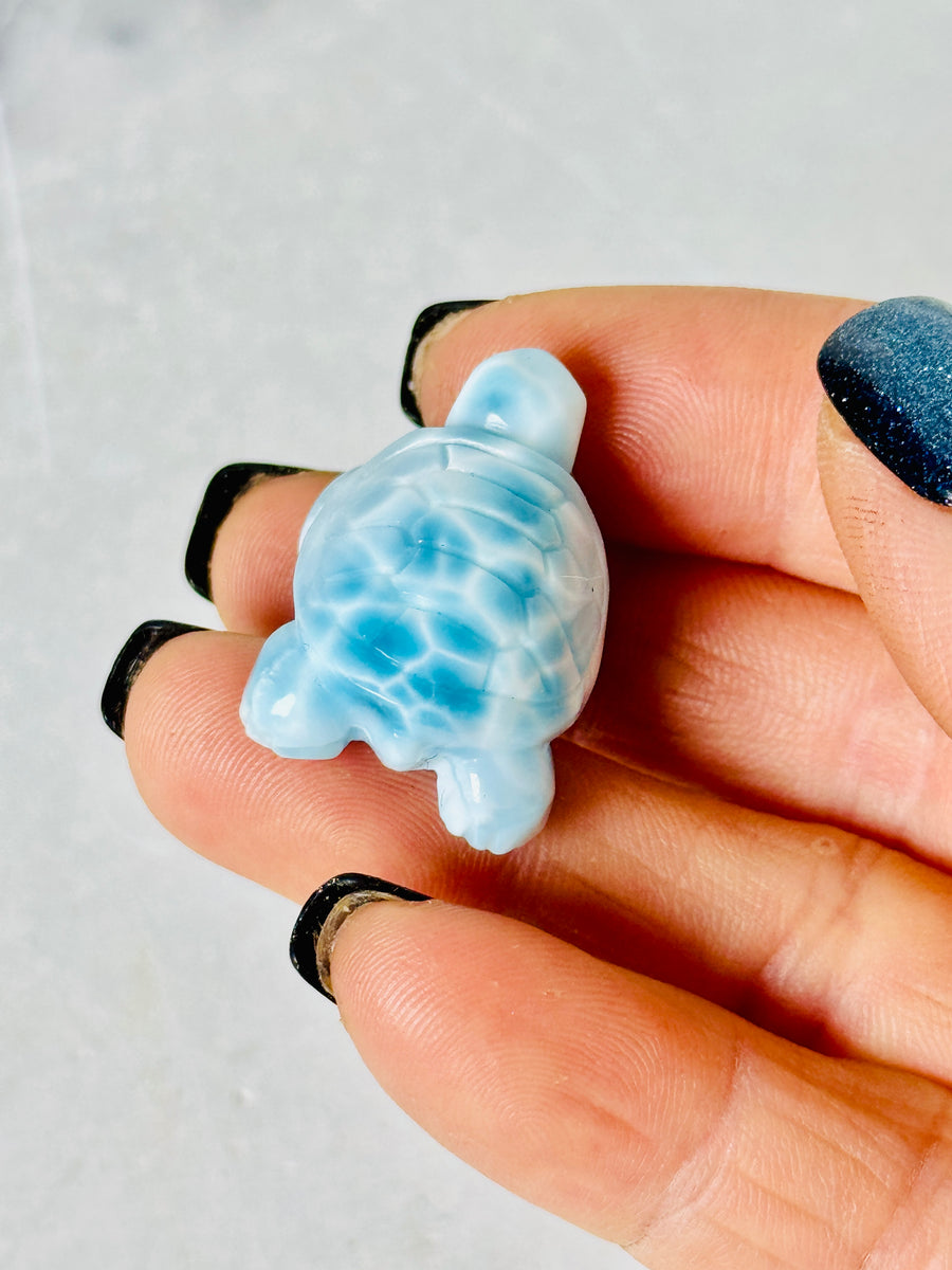 High Quality Larimar Turtle Carving