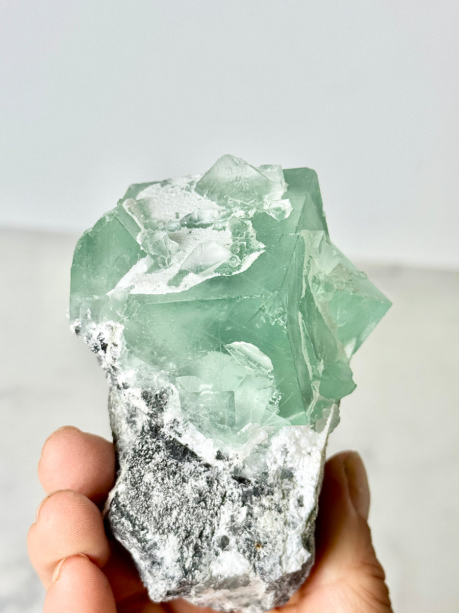 Green Porcelain Fluorite