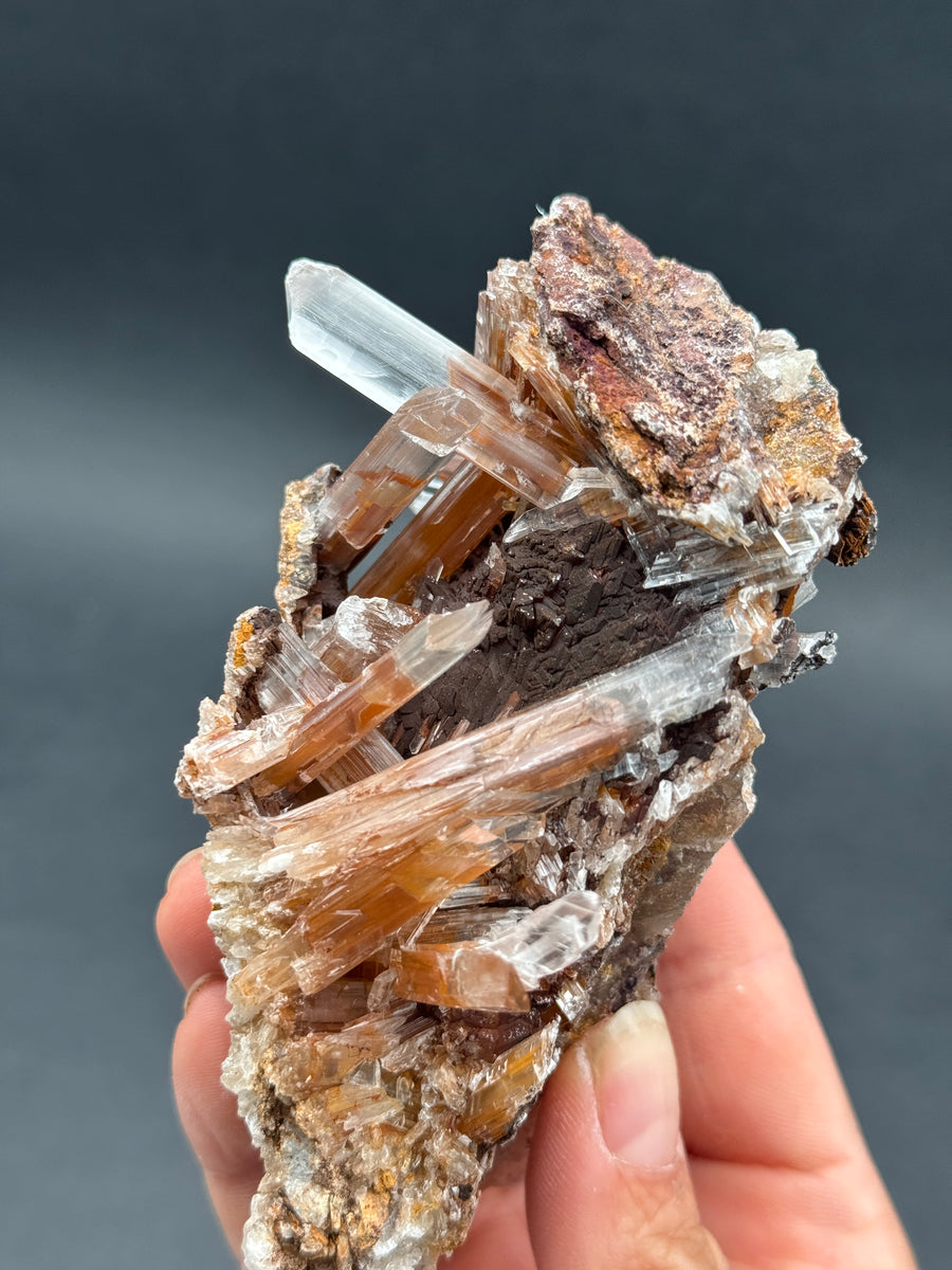 Selenite from Buena Tierra Mine, Mexico