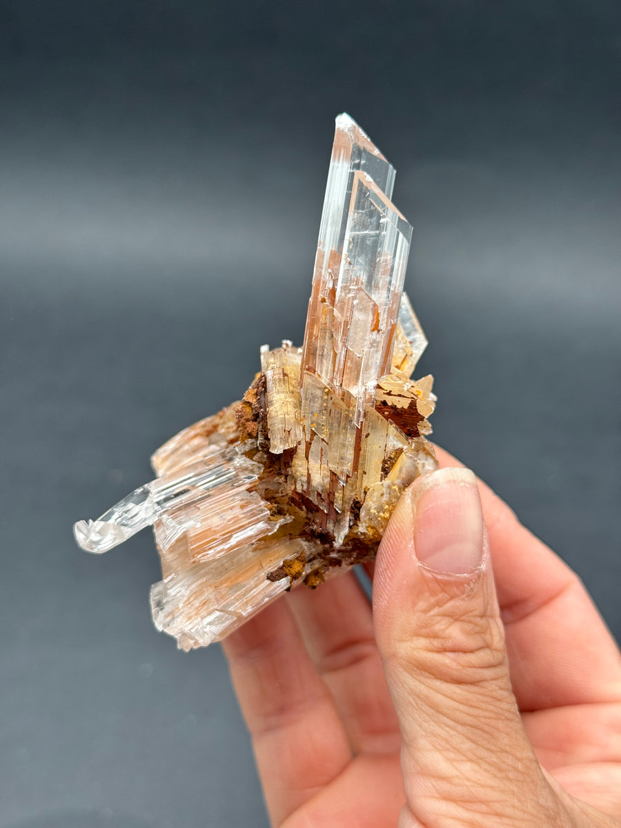 Selenite from Buena Tierra Mine, Mexico