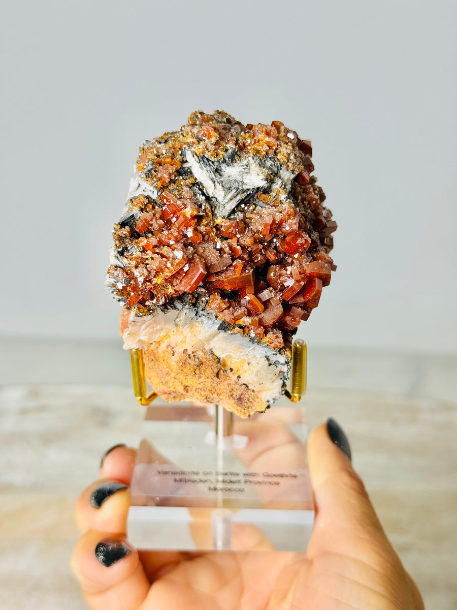 Vanadinite on Barite with Goethite