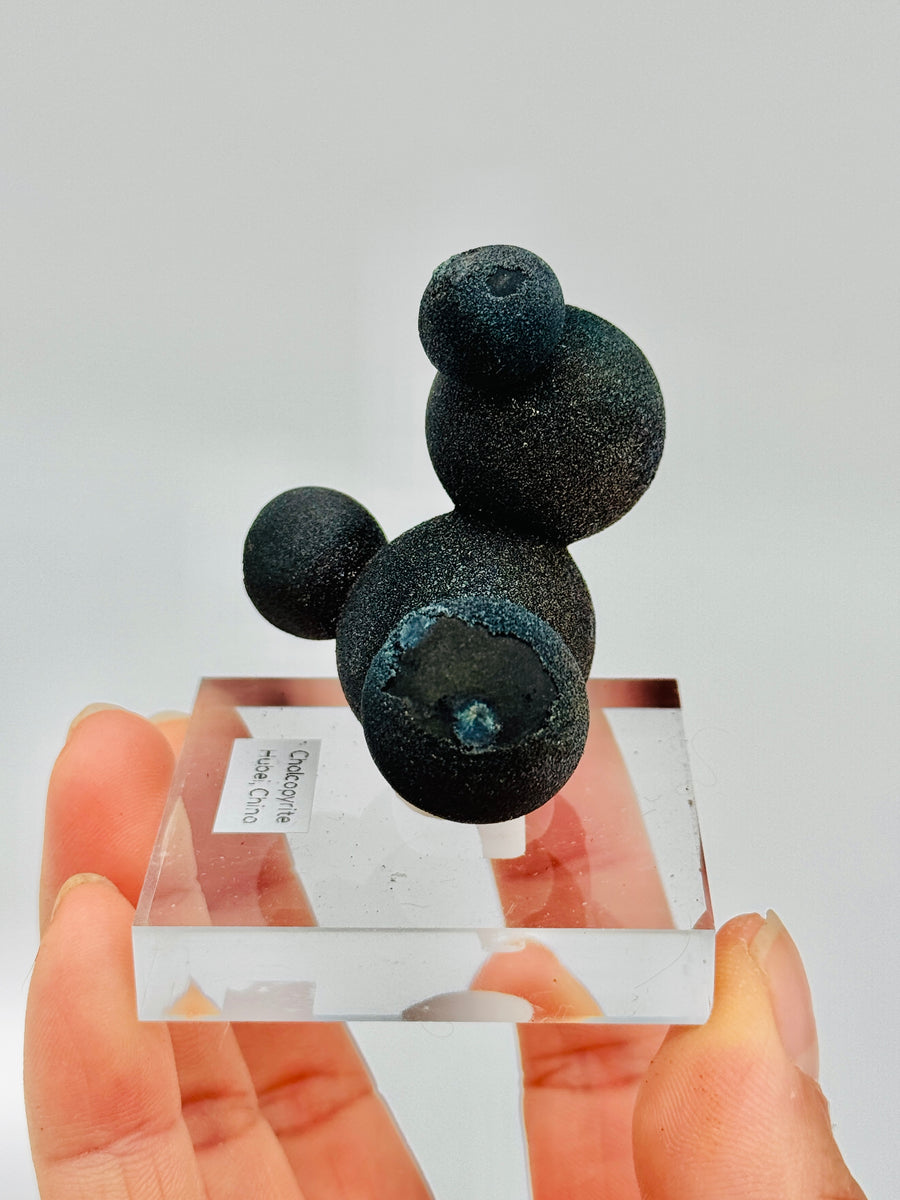 Botryoidal Chalcopyrite