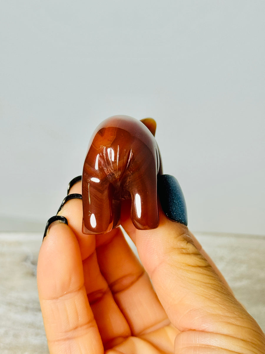 Carnelian Bear Carving