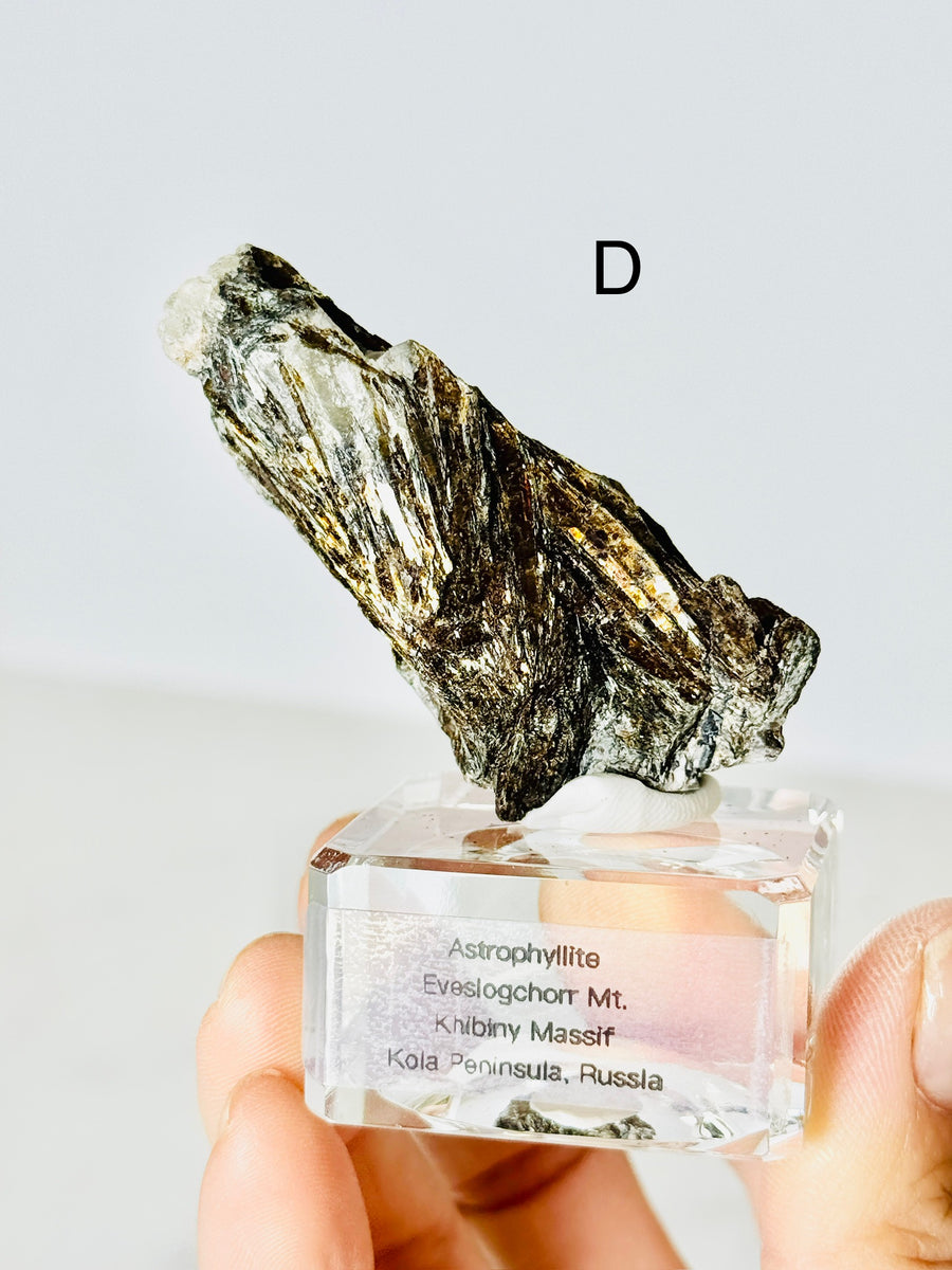 Astrophyllite from Eveslogchorr Mt., Russia