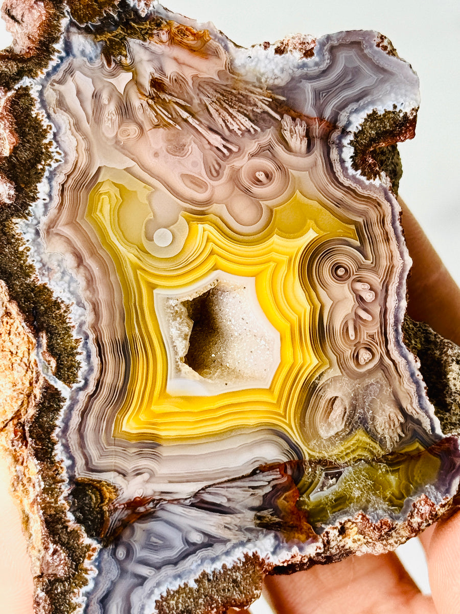 Laguna Agate from Chihuahua Mexico