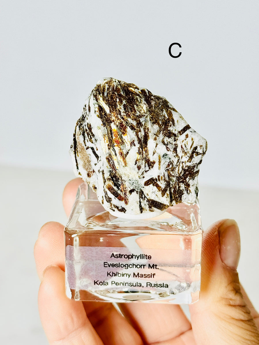 Astrophyllite from Eveslogchorr Mt., Russia