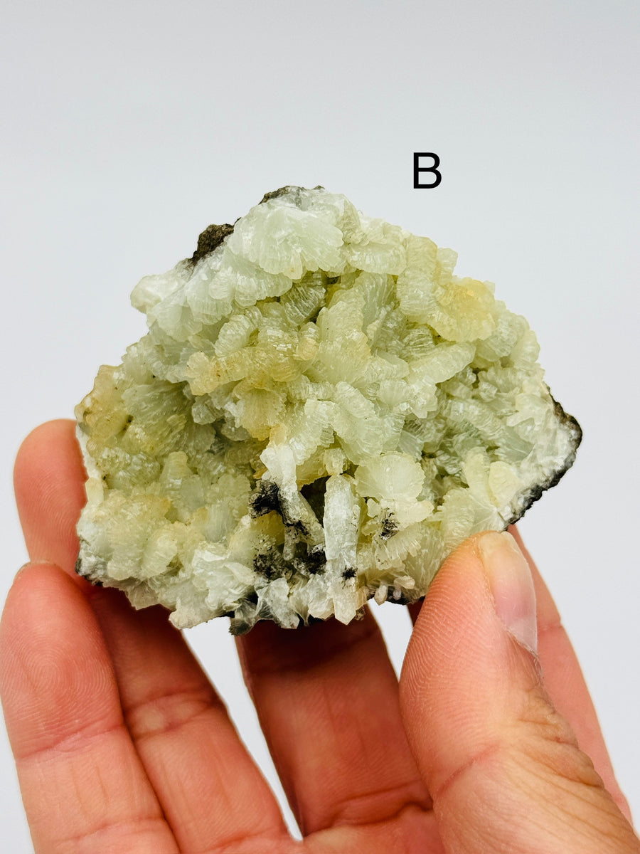 Prehnite from Morocco