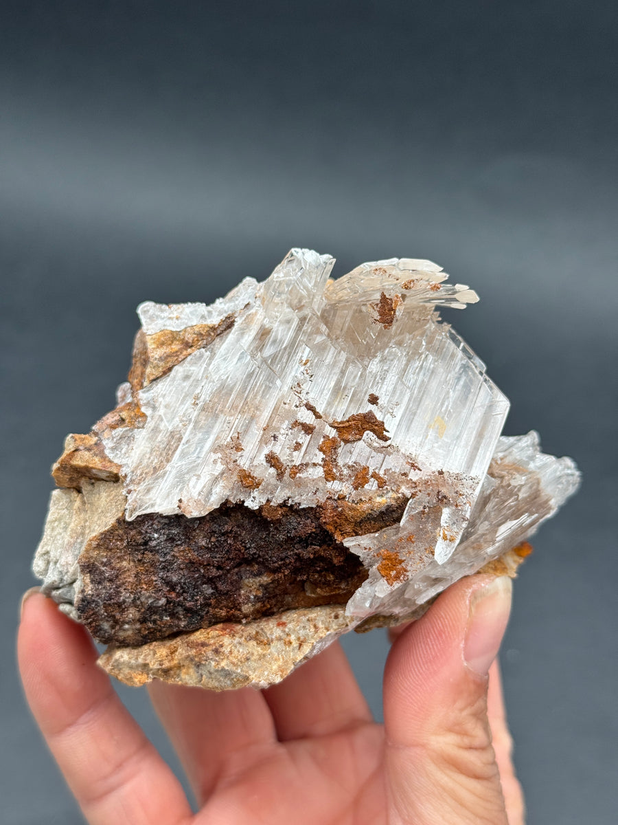 Selenite from Buena Tierra Mine, Mexico