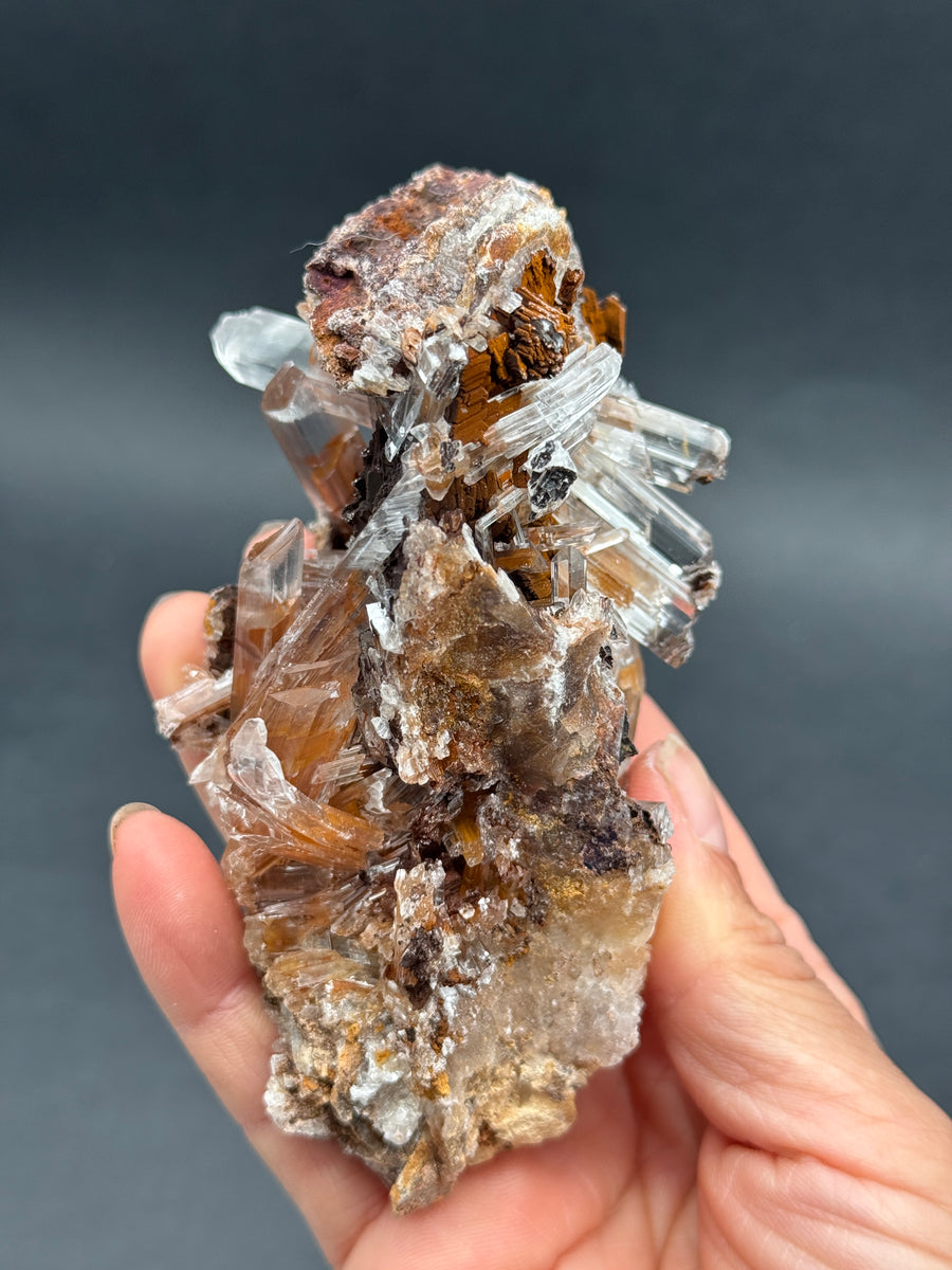 Selenite from Buena Tierra Mine, Mexico
