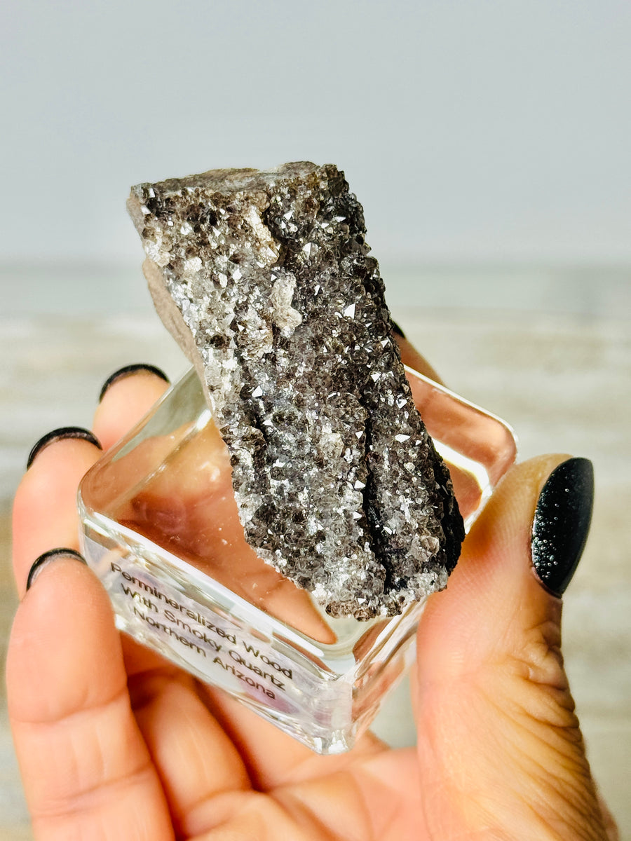 Permineralized Wood with Smoky Quartz from Arizona
